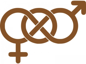 O FEMININO E O MASCULINO, NOVOS PAPÉIS NA MODERNIDADE