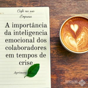 A importância da Inteligência Emocional dos colaboradores em tempos de crise.